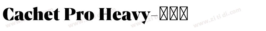 Cachet Pro Heavy字体转换